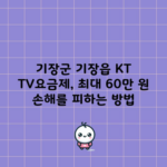 기장군 기장읍 KT TV요금제, 최대 60만 원 손해를 피하는 방법