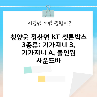 청양군 정산면 KT 셋톱박스 3종류: 기가지니 3, 기가지니 A, 올인원 사운드바