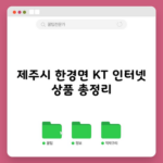 아무나 모르는 KT 인터넷 상품 총정리