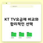 KT TV요금제 비교와 합리적인 선택