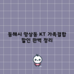 동해시 망상동 KT 가족결합 할인 완벽 정리