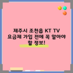 제주시 조천읍 KT TV 요금제 가입 전에 꼭 알아야 할 정보!