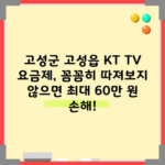 고성군 고성읍 KT TV 요금제, 꼼꼼히 따져보지 않으면 최대 60만 원 손해!