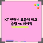 KT 인터넷 요금제 비교: 슬림 vs 베이직