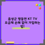 음성군 맹동면 KT TV 요금제 손해 없이 가입하는 법!