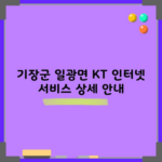 기장군 일광면 KT 인터넷 서비스 상세 안내