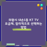 의왕시 내손1동 KT TV 요금제, 합리적으로 선택하는 방법