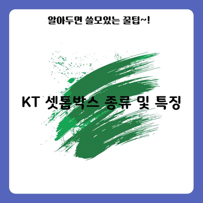 KT 셋톱박스 종류 및 특징