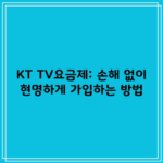 KT TV요금제: 손해 없이 현명하게 가입하는 방법