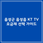 음성군 음성읍 KT TV 요금제 선택 가이드