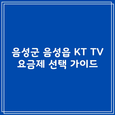 음성군 음성읍 KT TV 요금제 선택 가이드