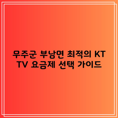 무주군 부남면 최적의 KT TV 요금제 선택 가이드