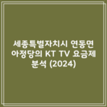 세종특별자치시 연동면 아정당의 KT TV 요금제 분석 (2024)