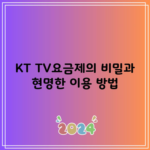 KT TV요금제의 비밀과 현명한 이용 방법