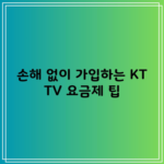 손해 없이 가입하는 KT TV 요금제 팁