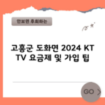 고흥군 도화면 2024 KT TV 요금제 및 가입 팁