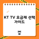 KT TV 요금제 선택 가이드