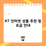 KT 인터넷 상품 추천 및 요금 안내