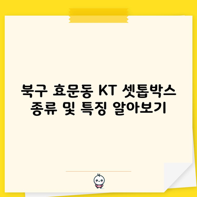 북구 효문동 KT 셋톱박스 종류 및 특징 알아보기