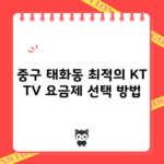 중구 태화동 최적의 KT TV 요금제 선택 방법