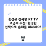 홍성군 장곡면 KT TV 요금제 추천: 현명한 선택으로 손해를 피하세요!