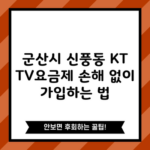 군산시 신풍동 KT TV요금제 손해 없이 가입하는 법