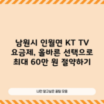 남원시 인월면 KT TV 요금제, 올바른 선택으로 최대 60만 원 절약하기