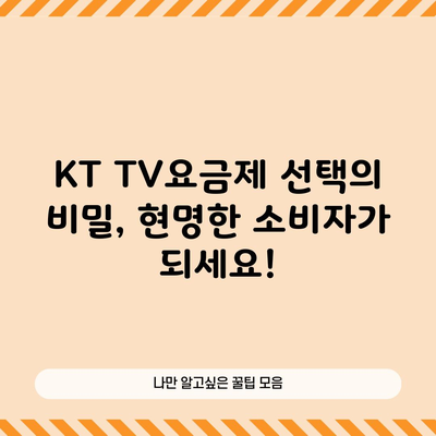 KT TV요금제 선택의 비밀, 현명한 소비자가 되세요!