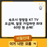 속초시 영랑동 KT TV 요금제, 잘못 가입하면 최대 60만 원 손해!