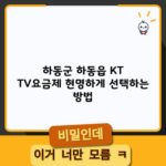 하동군 하동읍 KT TV요금제 현명하게 선택하는 방법