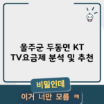 울주군 두동면 KT TV요금제 분석 및 추천