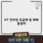 KT 인터넷 요금제 및 혜택 총정리