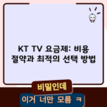 KT TV 요금제: 비용 절약과 최적의 선택 방법