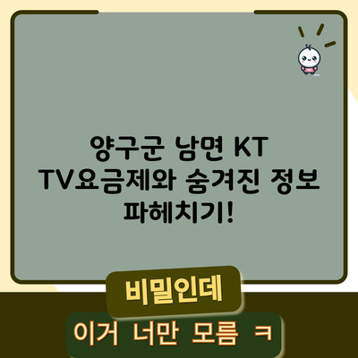 양구군 남면 KT TV요금제와 숨겨진 정보 파헤치기!