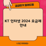 KT 인터넷 2024 요금제 안내