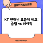 KT 인터넷 요금제 비교: 슬림 vs 베이직