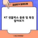 KT 셋톱박스 종류 및 특징 1분만에 알아보기