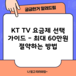 KT TV 요금제 선택 가이드 – 최대 60만원 절약하는 방법