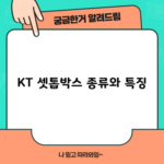 KT 셋톱박스 종류와 특징