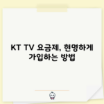 KT TV 요금제, 현명하게 가입하는 방법