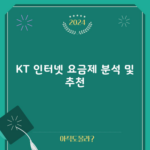 KT 인터넷 요금제 분석 및 추천