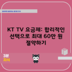 KT TV 요금제: 합리적인 선택으로 최대 60만 원 절약하기