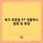 북구 효문동 KT 셋톱박스 종류 및 특징