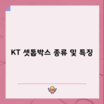 KT 셋톱박스 종류 및 특징