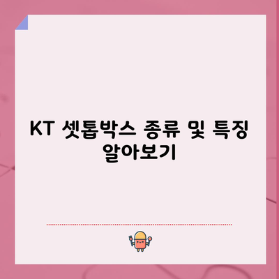 KT 셋톱박스 종류 및 특징 알아보기