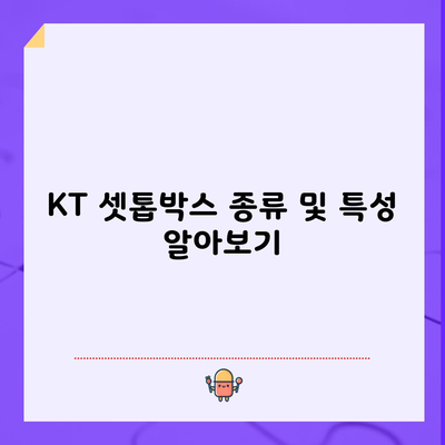 KT 셋톱박스 종류 및 특성 알아보기