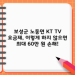 보성군 노동면 KT TV 요금제, 이렇게 하지 않으면 최대 60만 원 손해!