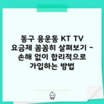 동구 용운동 KT TV 요금제 꼼꼼히 살펴보기 – 손해 없이 합리적으로 가입하는 방법