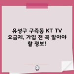 유성구 구즉동 KT TV 요금제, 가입 전 꼭 알아야 할 정보!