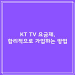 KT TV 요금제, 합리적으로 가입하는 방법